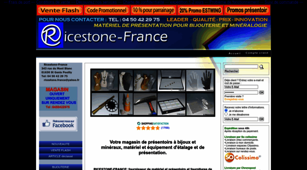 ricestone-france.com