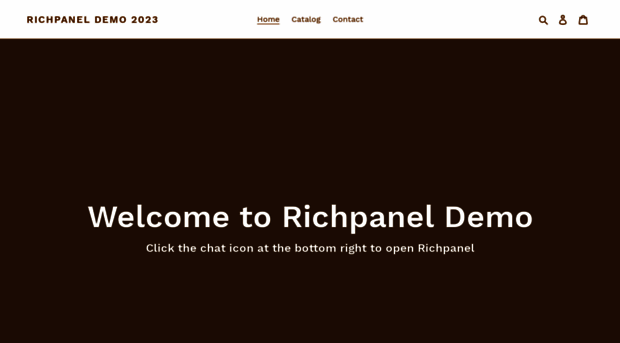 richpanel-new-demo.myshopify.com