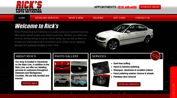 ricksautodetailing.com