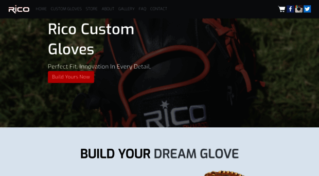 ricogloves.com