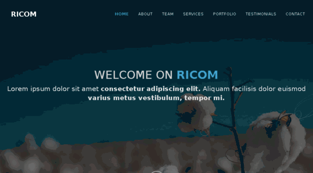 ricom-tex.com