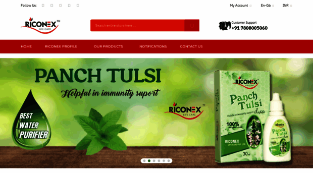 riconex.in