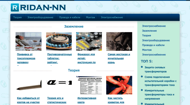 ridan-nn.ru