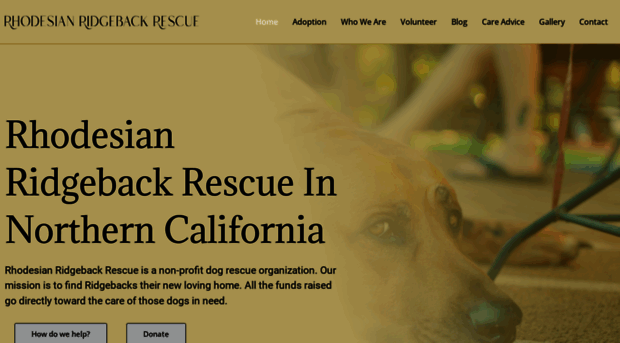 ridgeback.org