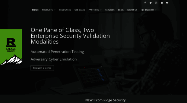 ridgesecurity.ai