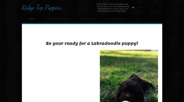 ridgetoppuppies.weebly.com