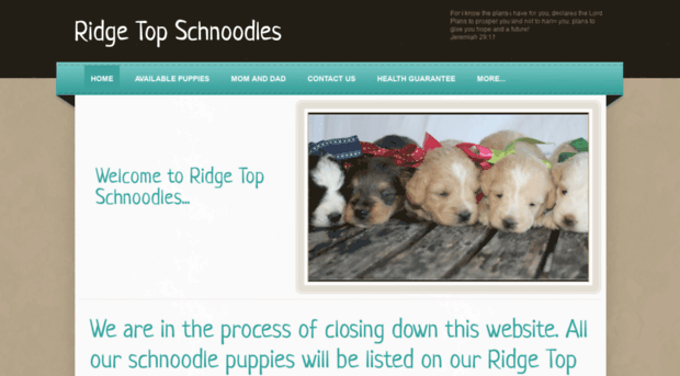 ridgetopschnoodles.weebly.com