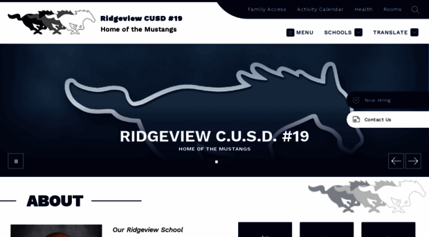 ridgeview19.org