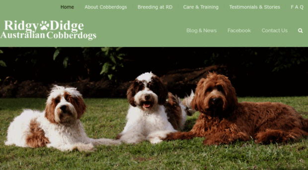 ridgydidgecobberdogs.com