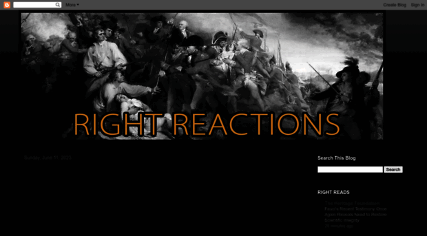 rightreactions.blogspot.com.ar