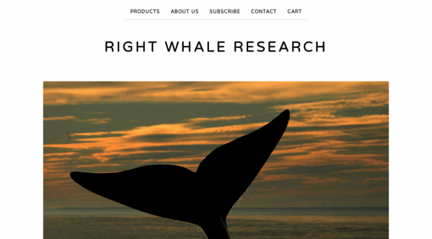 rightwhaleresearch.bigcartel.com