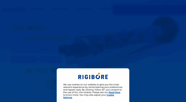 rigibore-india.in