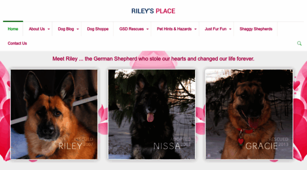 rileysplace.org