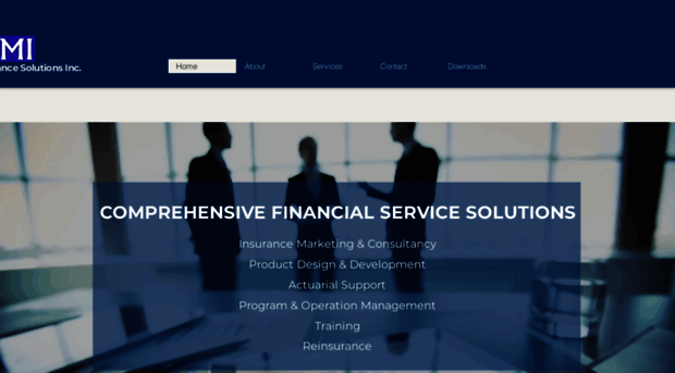 rimiconsulting.com