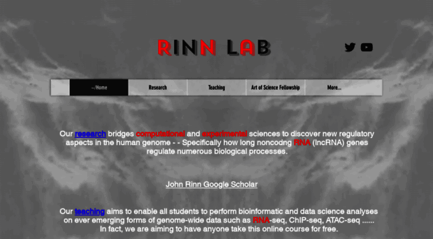 rinnlab.com