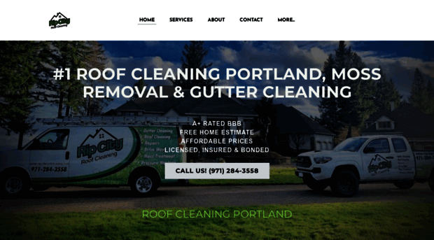 ripcityroofcleaning.com