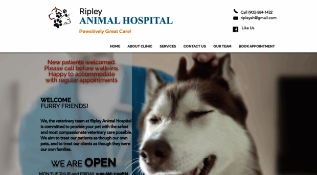 ripleyanimalhospital.com