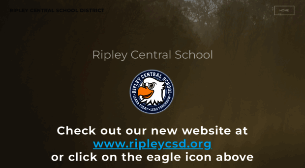 ripleyelementary.weebly.com