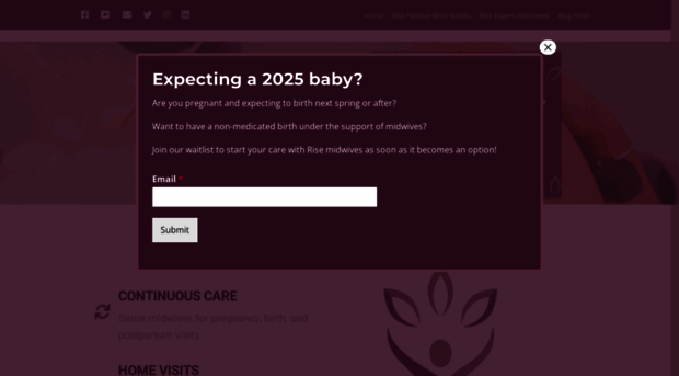 risebirthcenter.com