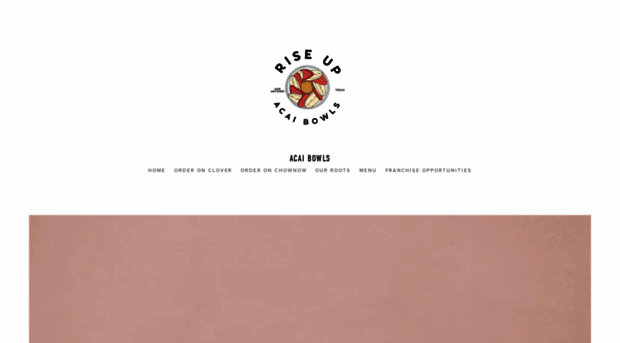 riseupsatx.com