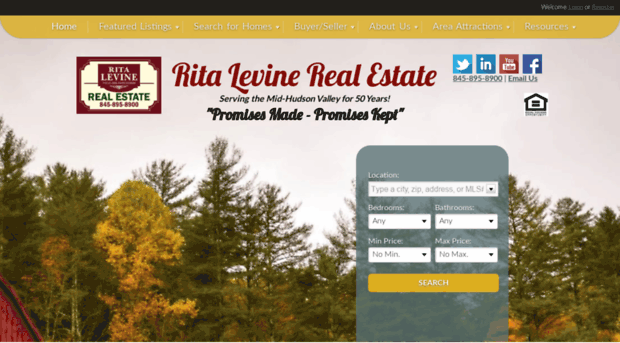 ritalevinerealestate.com