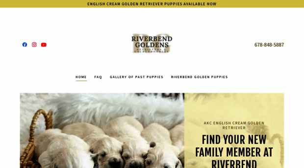 riverbendgoldens.com