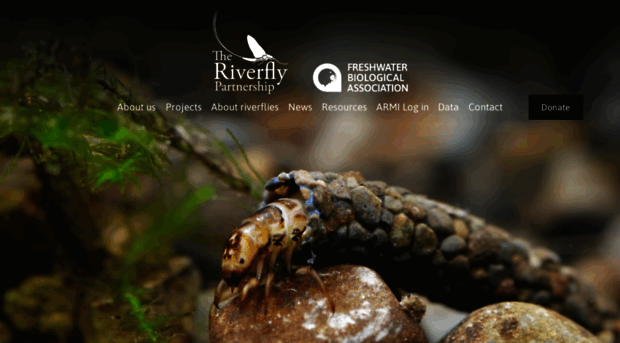 riverflies.org