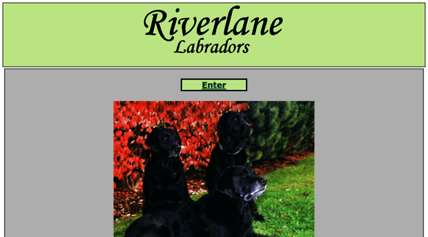 riverlanelabs.com