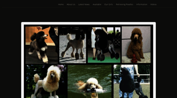 riversedgepoodles.com