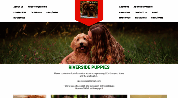 riversidepuppies.biz