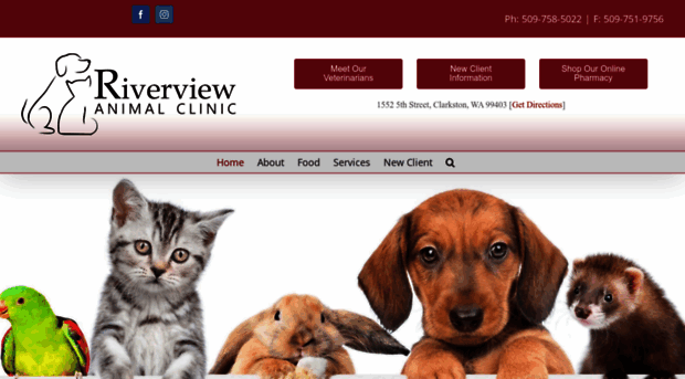 riverviewanimalclinicclarkston.com