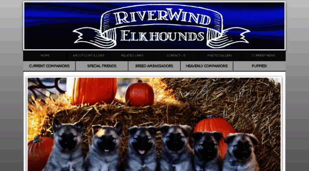 riverwindelkhounds.net