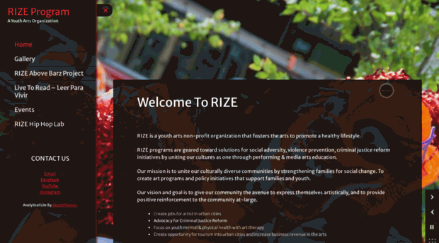 rizeprogram.org