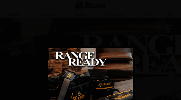 rizziniusa.com