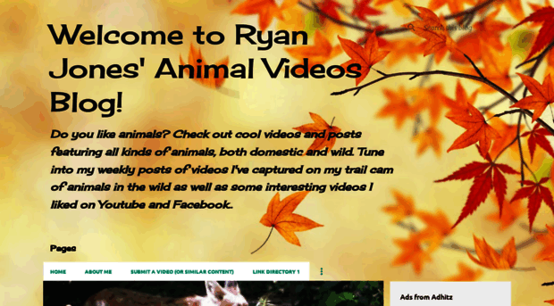 rjanimalvideos.blogspot.co.il