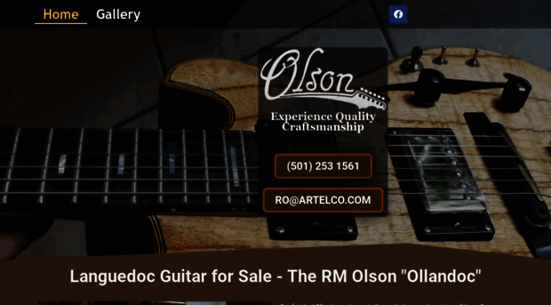 rmolsonguitars.com