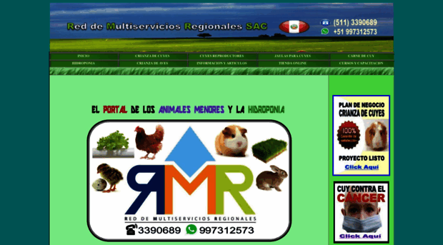 rmr-peru.com