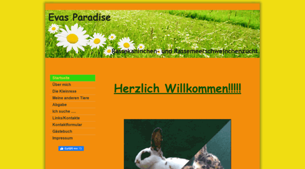 rmz-evas-paradise.beepworld.de