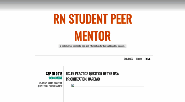 rnstudentpeermentor.wordpress.com