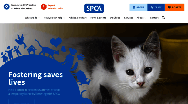 rnzspca.org.nz