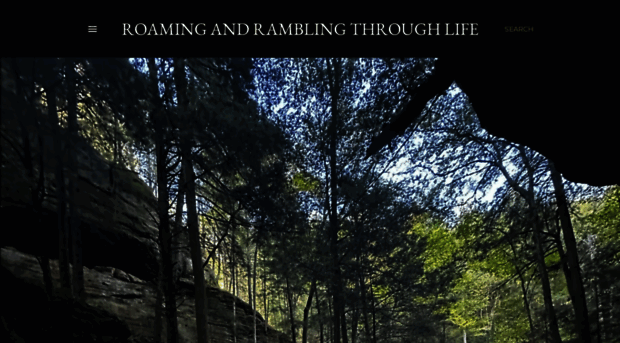 roamingandramblingthroughlife.blogspot.com
