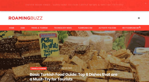 roamingbuzz.com