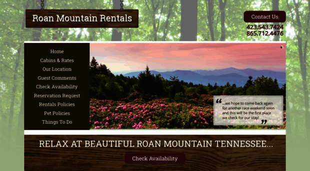 roanmountainrentals.com