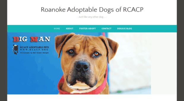 roanokeadoptablepounddogs.wordpress.com