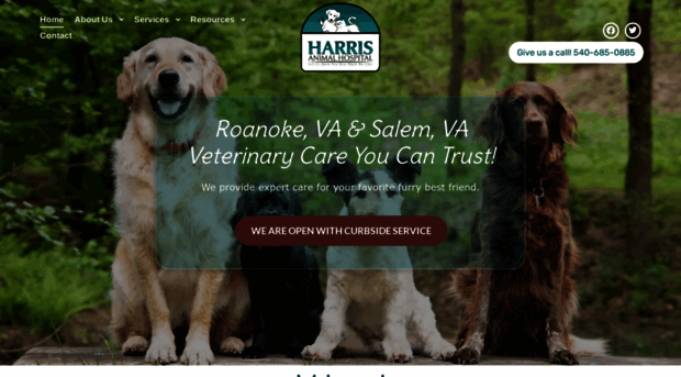 roanokevet.com