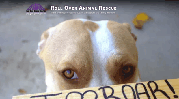 roar4dogs.org