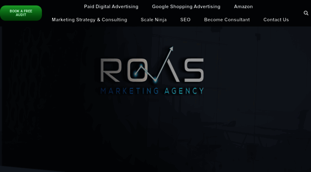 roas.marketing