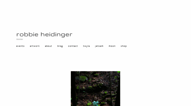 robbieheidinger.com