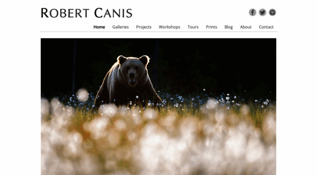 robertcanis.com