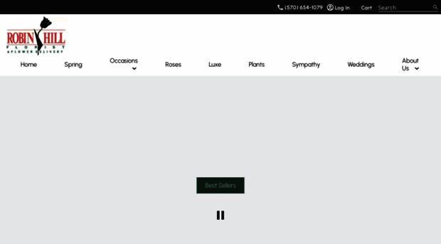 robinhillflorist.com
